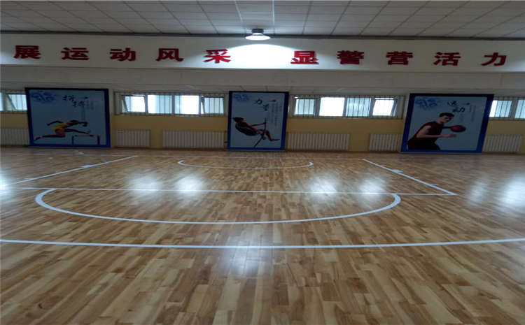 常見的運動木地板圖片