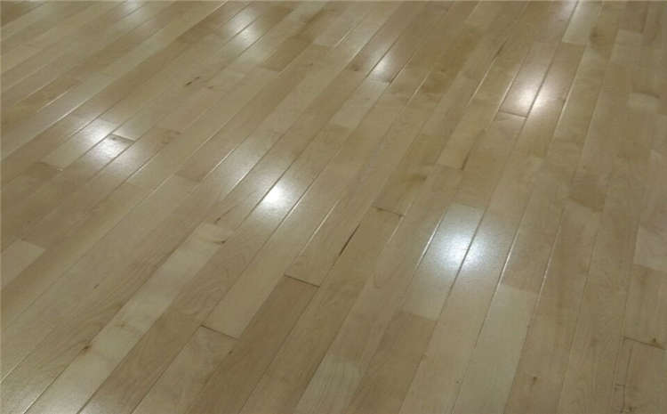 常見的運動木地板圖片