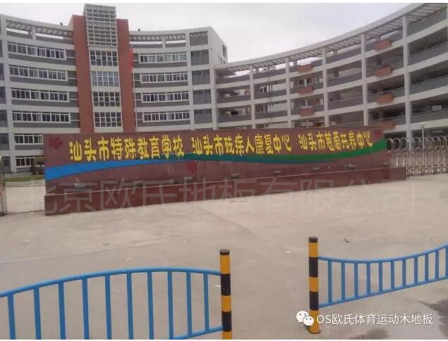 汕頭特殊教育學(xué)校籃球館木地板案例圖1