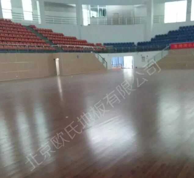 廣東省湛江市麻章區(qū)體育館楓木地板單層龍骨結構案例-1