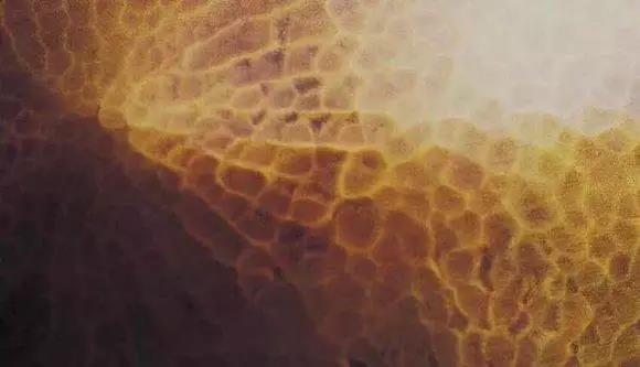 探尋日本頂級貴金屬加工技法 (10)