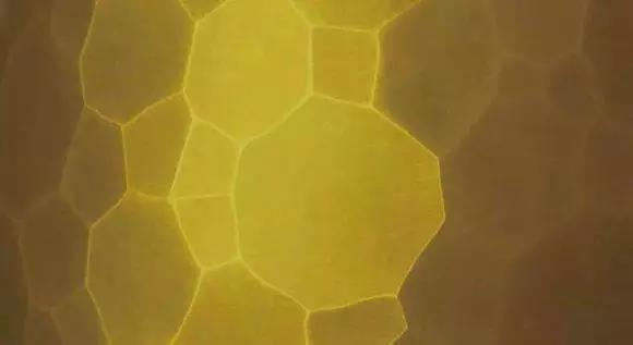 探尋日本頂級貴金屬加工技法 (11)