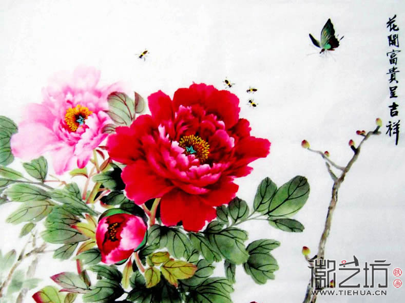 2017.3.30春雨綿綿話牡丹14