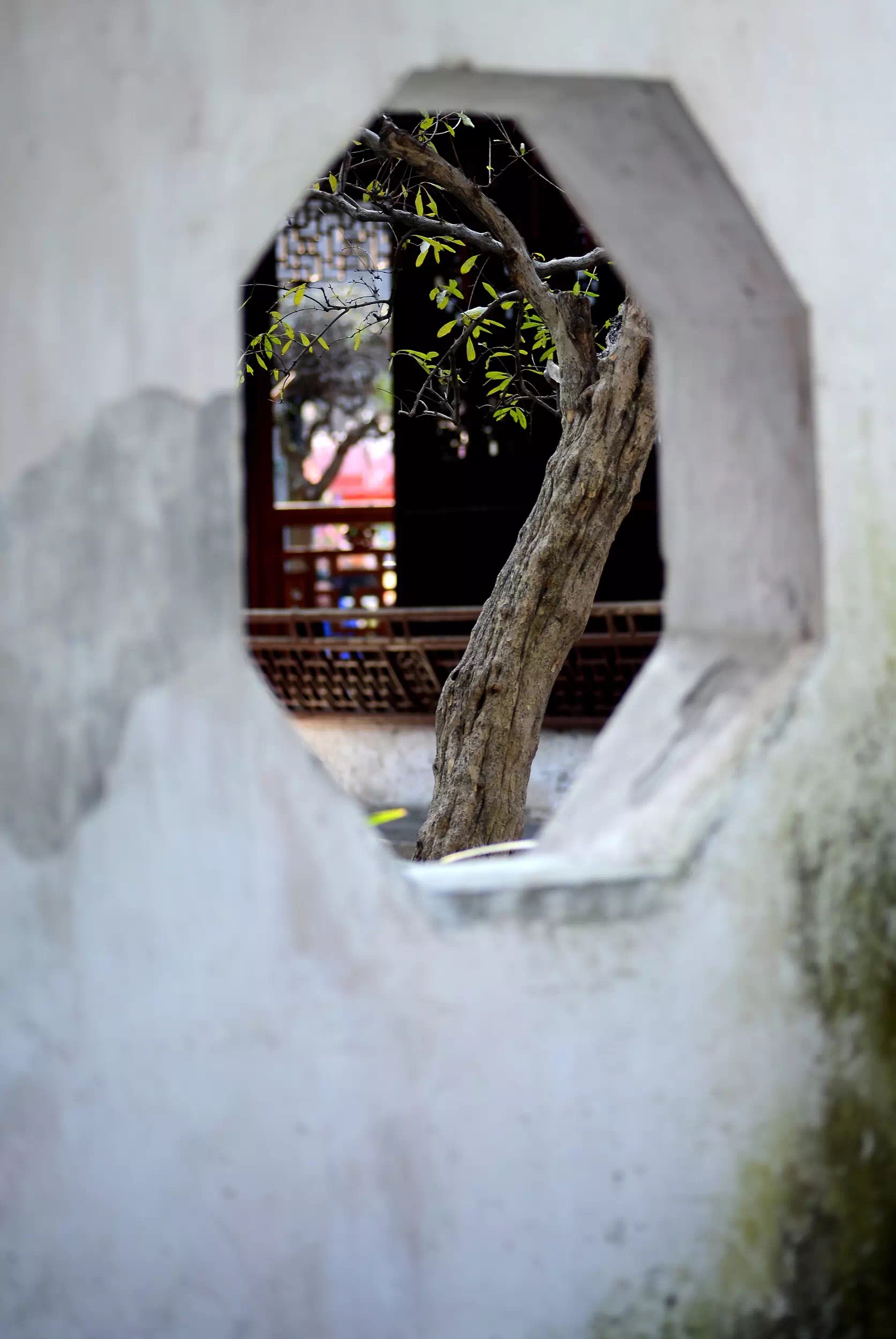 中國的園林，到底美在哪里 (10)