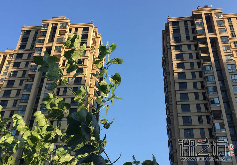 蕪湖鐵畫藝人周黃龍 (8)